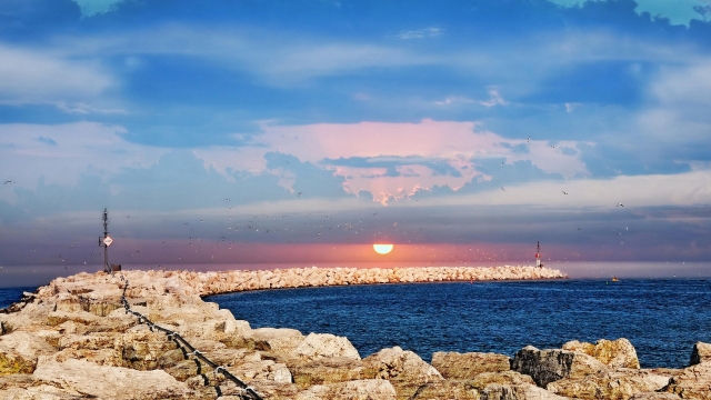 MGM：园林绿化带的修剪方法