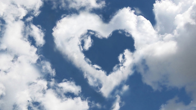 MGM：园林绿化越冬防寒知识