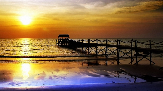 美高梅集团：园林绿化片