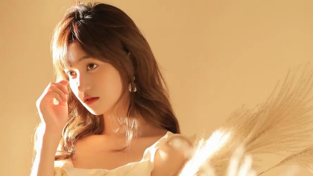 美高梅公司：园林绿化用无纺布