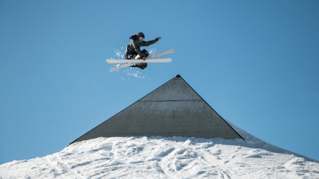 美高梅公司：园林绿化有几种草木类