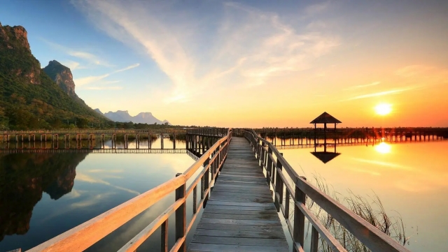 园林绿化基质土