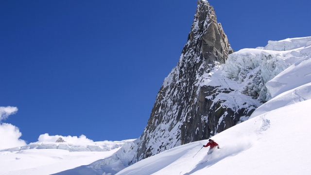 美高梅集团：园林绿化拆迁