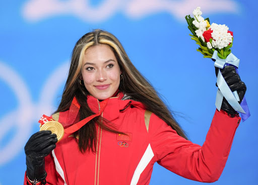 美高梅：园林绿化耐修剪植物