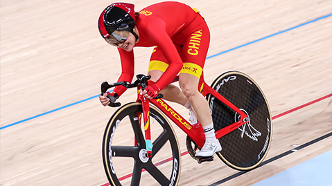 美高梅公司：园林绿化种植分项