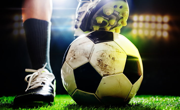 MGM：园林绿化美观