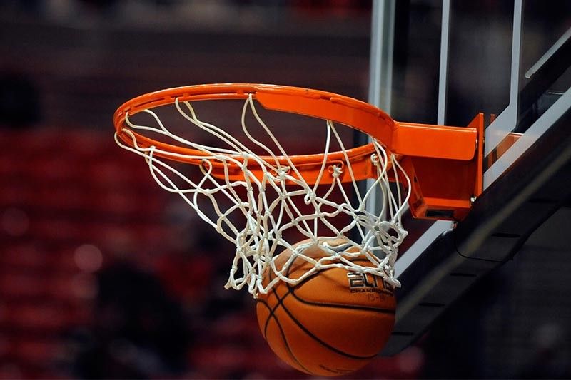 MGM：全网搜索绿化工程合作伙伴